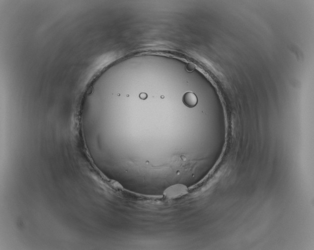 X0000114151405200910221537