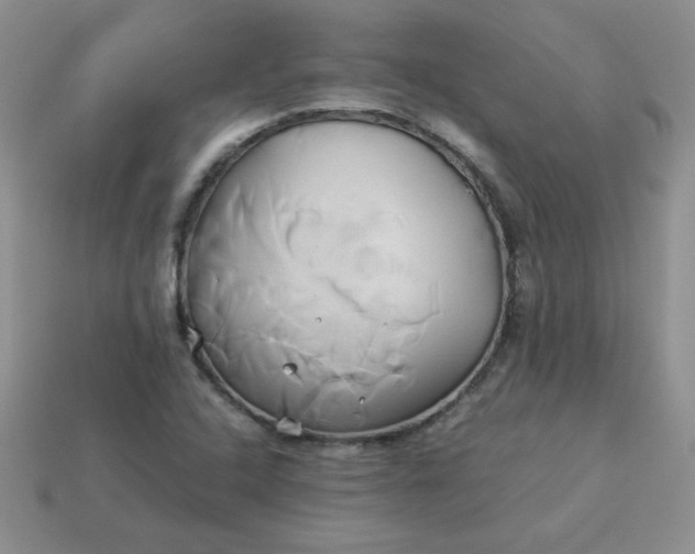 X0000114151408200910221537