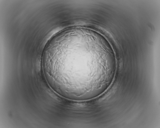 X0000114151409200910221537