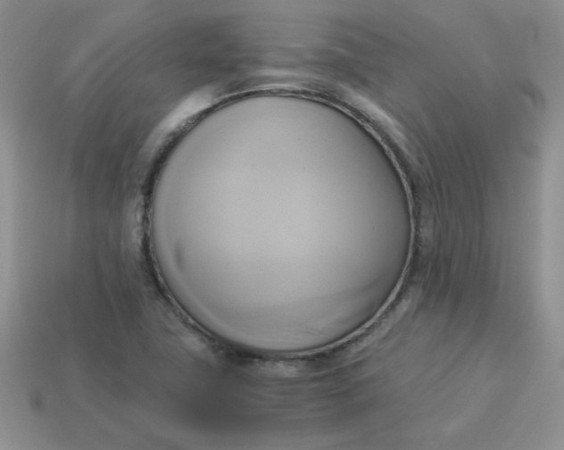 X0000114151411200910221537