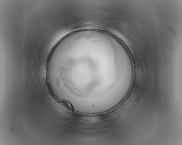 X0000114151415200910221537