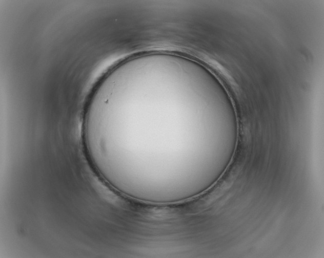 X0000114151416200910221537