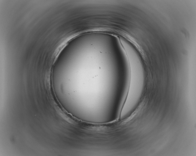 X0000114151417200910221537