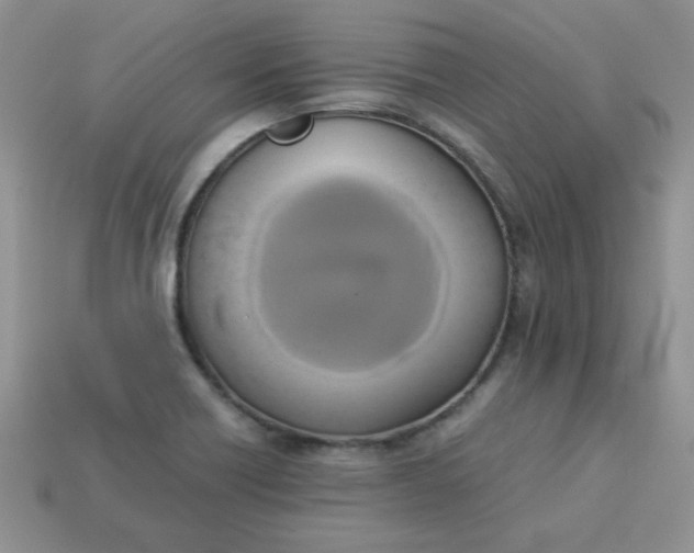 X0000114151418200910221537