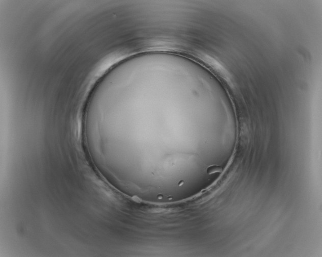 X0000114151419200910221537