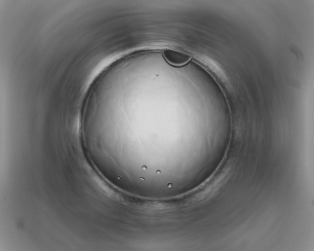 X0000114151420200910221537