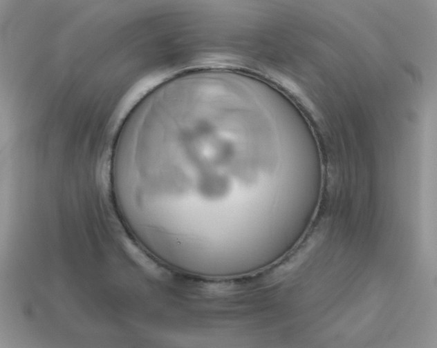 X0000114151421200910221537