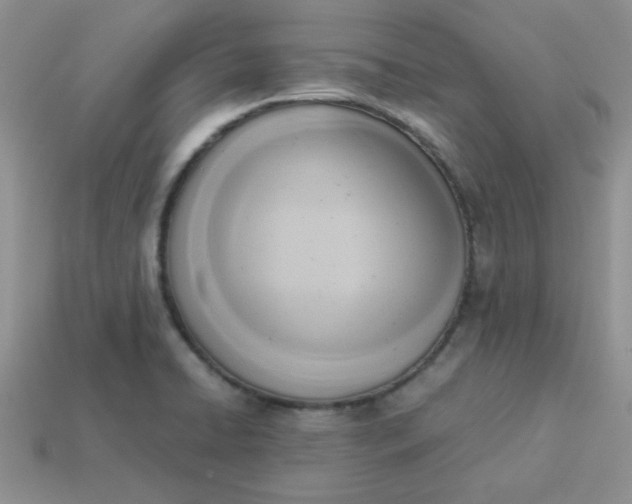 X0000114151422200910221537