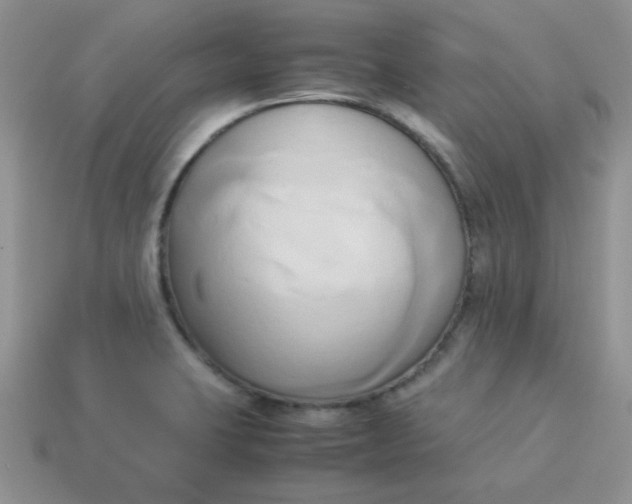 X0000114151423200910221537