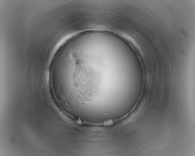 X0000114151424200910221537