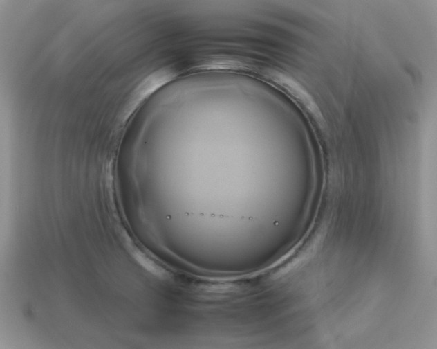 X0000114151425200910221537