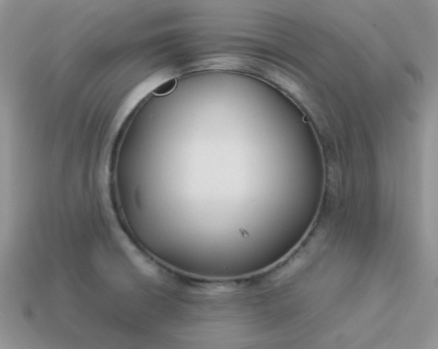 X0000114151426200910221537