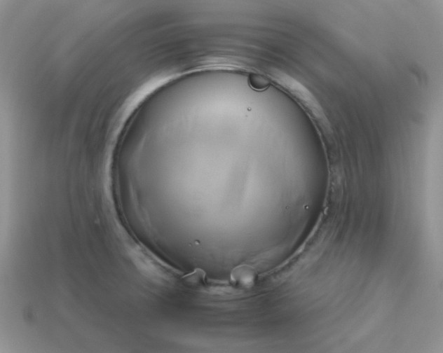 X0000114151427200910221537