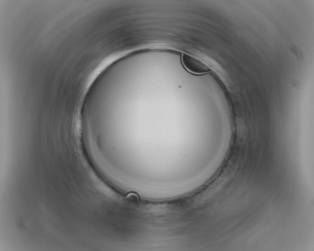 X0000114151428200910221537