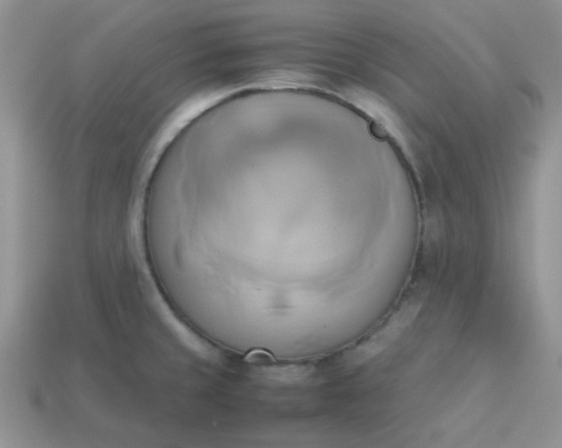 X0000114151429200910221537