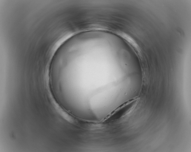 X0000114151431200910221537