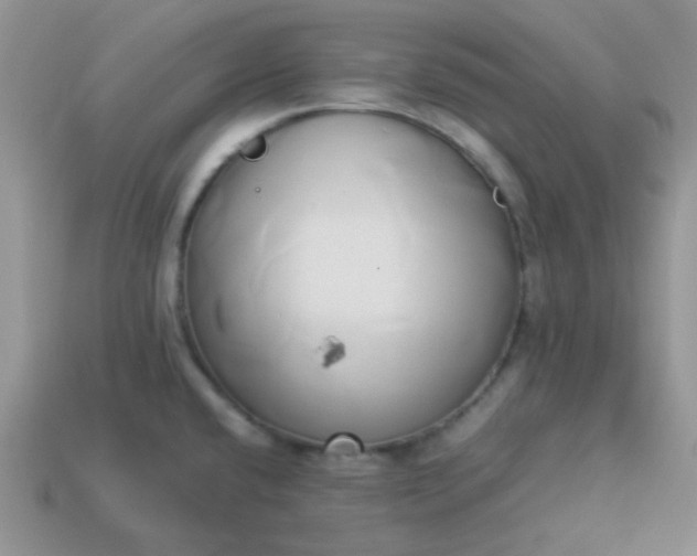 X0000114151432200910221537