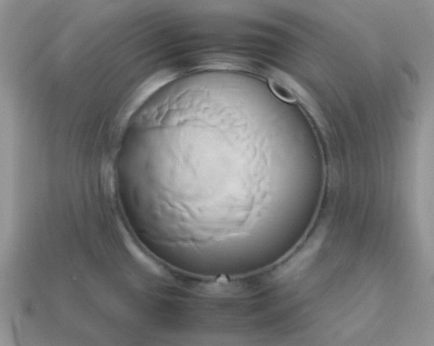 X0000114151433200910221537