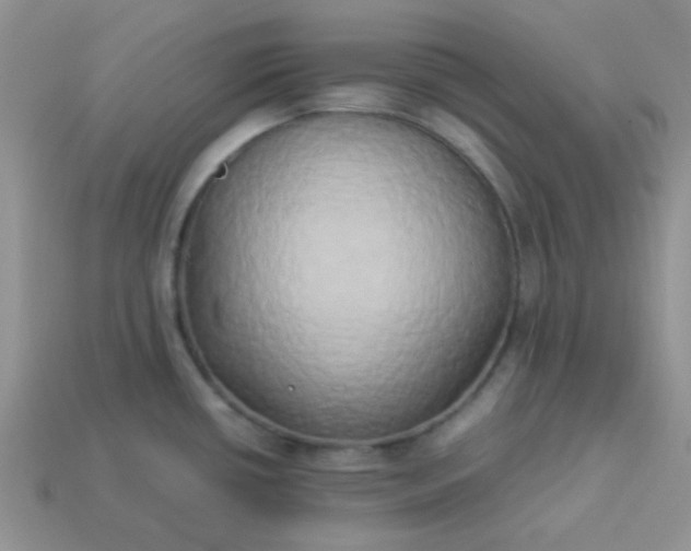 X0000114151434200910221537