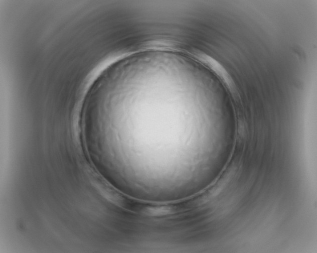 X0000114151435200910221537