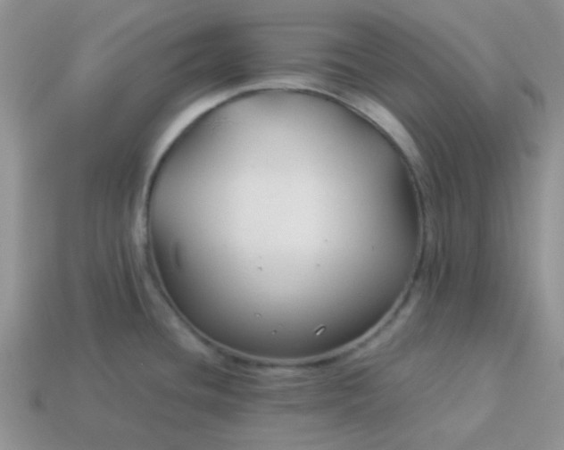 X0000114151436200910221537