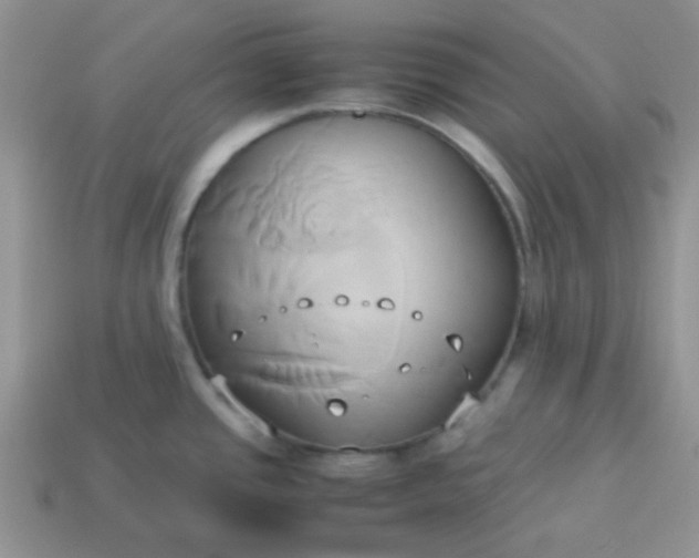 X0000114151437200910221537