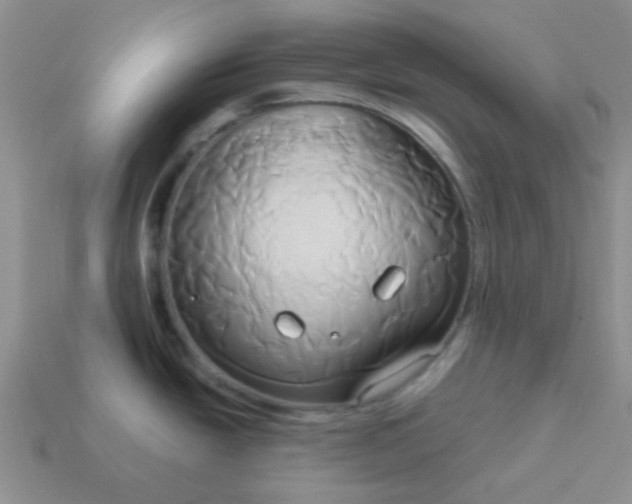 X0000114151438200910221537