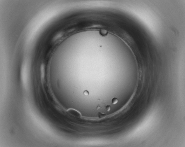 X0000114151439200910221537