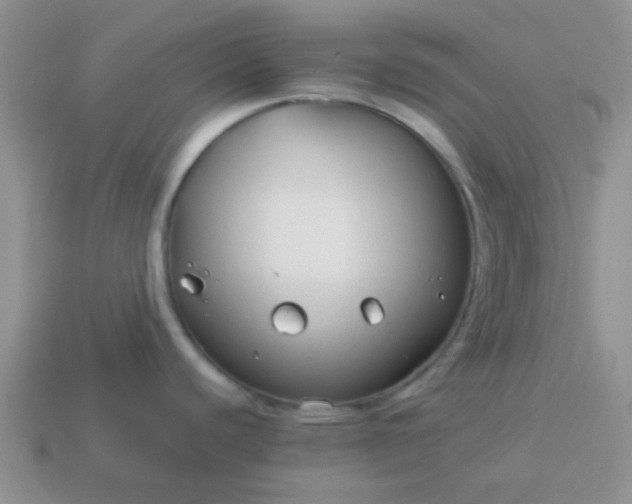 X0000114151440200910221537