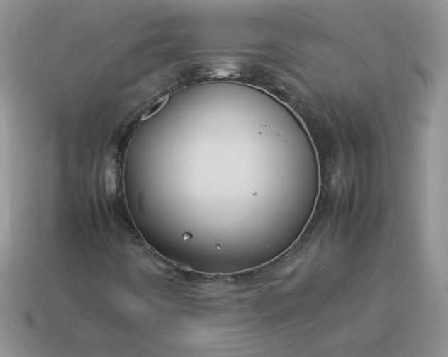 X0000114151442200910221536