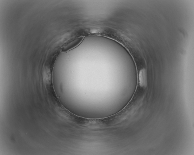 X0000114151443200910221536