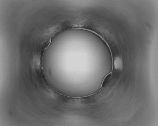 X0000114151444200910221536