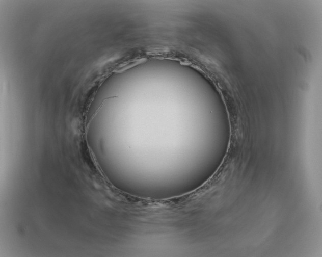 X0000114151445200910221536