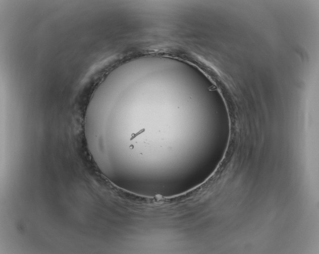 X0000114151447200910221536