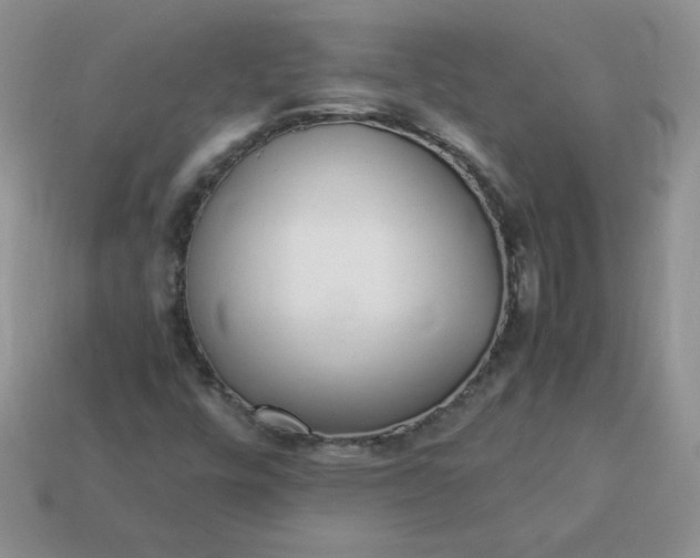 X0000114151448200910221536