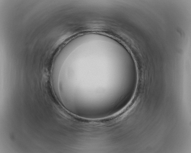 X0000114151449200910221536