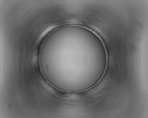 X0000114151450200910221536