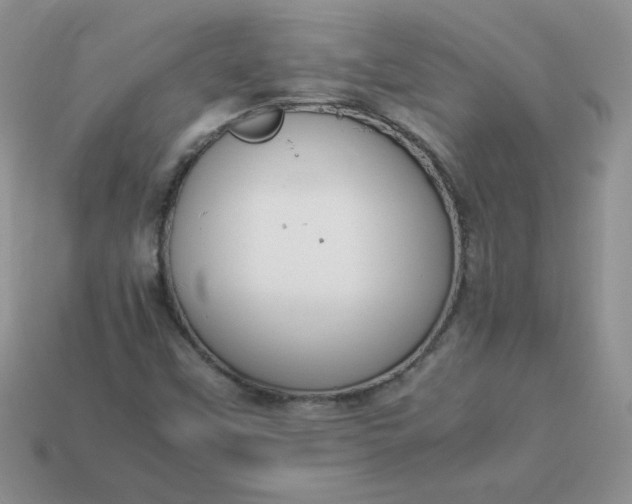 X0000114151451200910221536