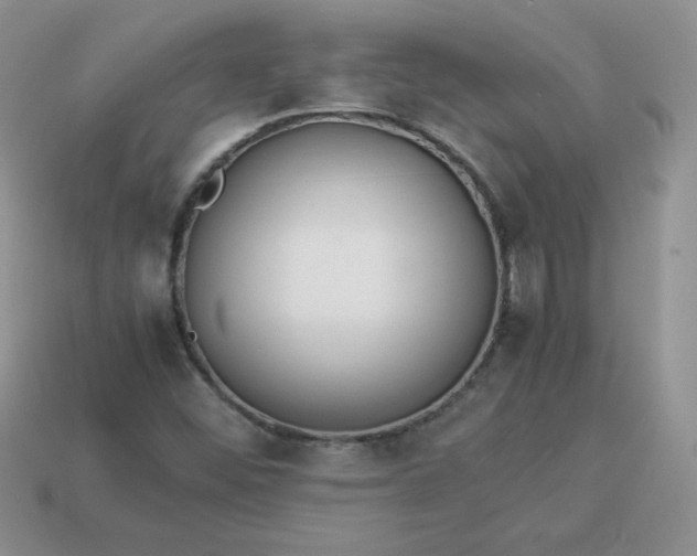 X0000114151452200910221536