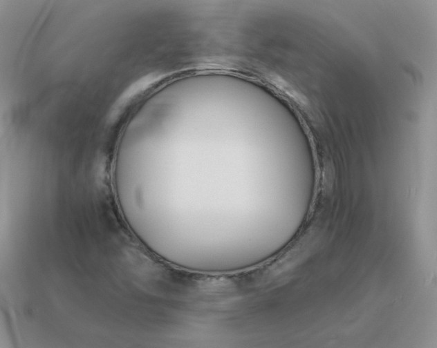 X0000114151454200910221536