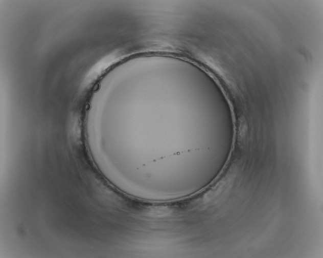 X0000114151455200910221536