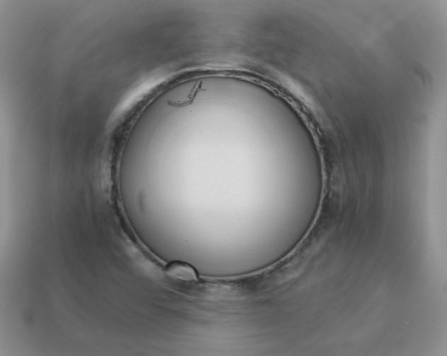 X0000114151456200910221536