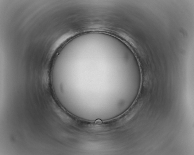 X0000114151458200910221536