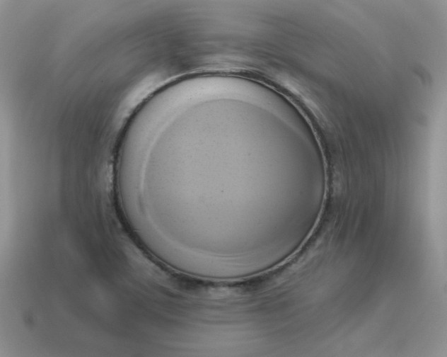 X0000114151459200910221536