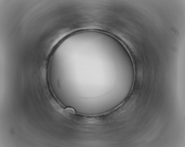 X0000114151460200910221536