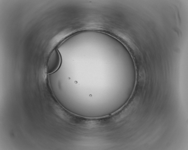 X0000114151461200910221536