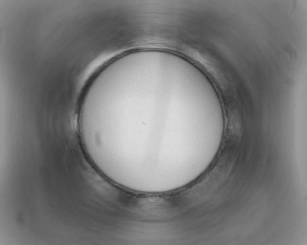 X0000114151462200910221536