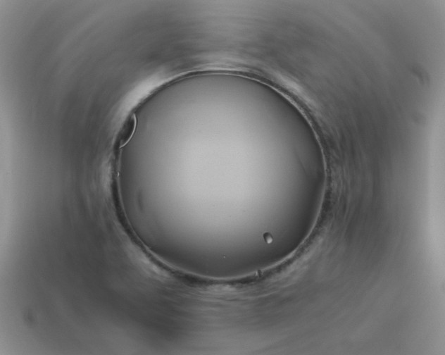 X0000114151463200910221536