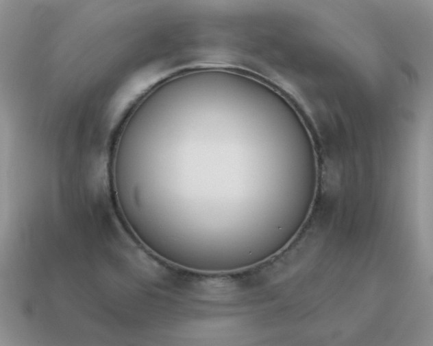 X0000114151464200910221536