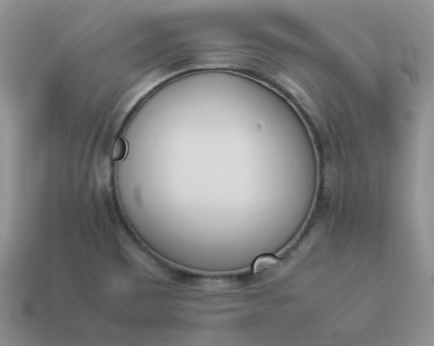 X0000114151465200910221536